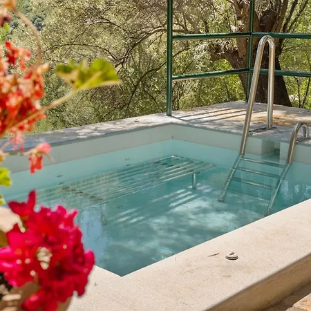 Giancarlo - Lovely With Stone And Wood Elements In Bay Σύβοτα